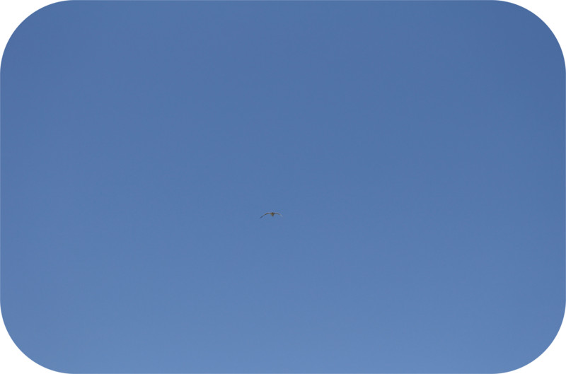 f:id:gabo1322:20150720115430j:image:w640 f:id:gabo1322:20150720115430j:image:w640