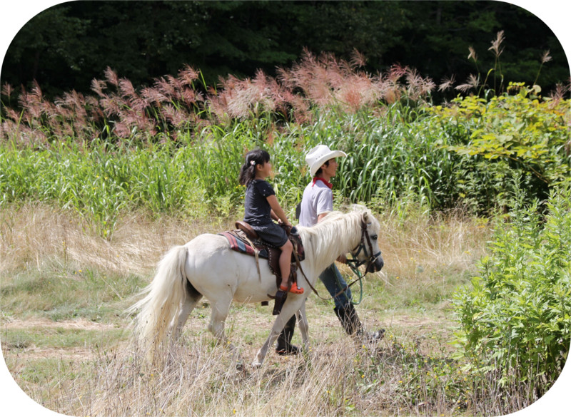 f:id:gabo1322:20160823120852j:image:w640 f:id:gabo1322:20160823120852j:image:w640