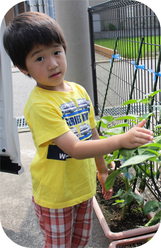 f:id:gabo1322:20170624090537j:image:w440 f:id:gabo1322:20170624090537j:image:w440