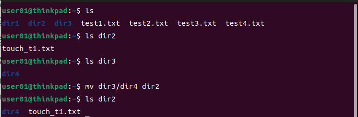 mvコマンドによるディレクトリ移動の実行例