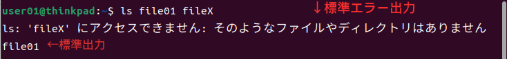 標準出力と標準エラー出力の表示例
