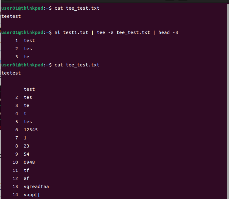 teeコマンドの実行例