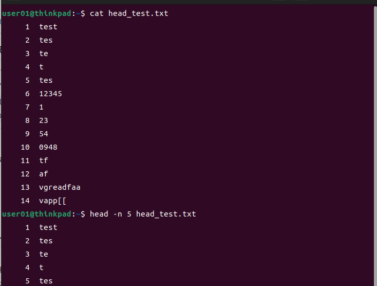 headコマンドの実行例