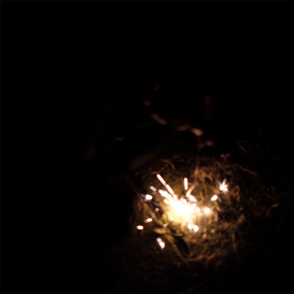 f:id:gachahori:20181102212539j:image f:id:gachahori:20181102212539j:image