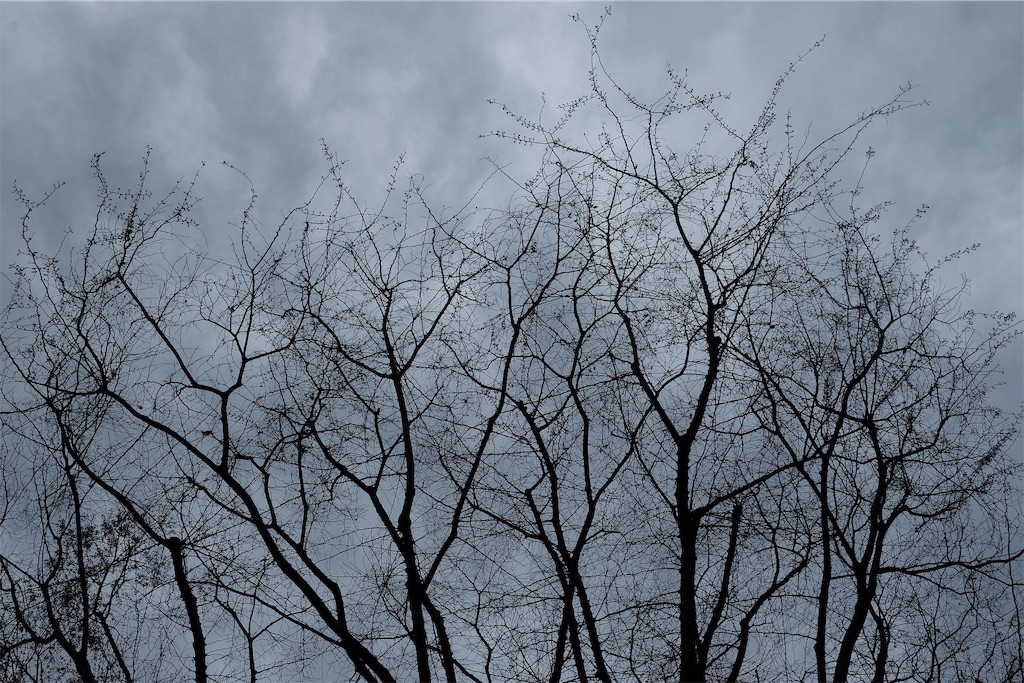 f:id:gachahori:20190324160237j:image