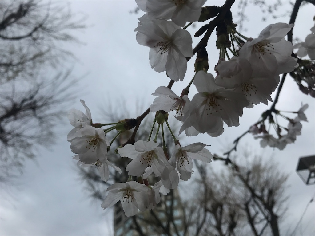 f:id:gachahori:20190328232445j:image f:id:gachahori:20190328232445j:image