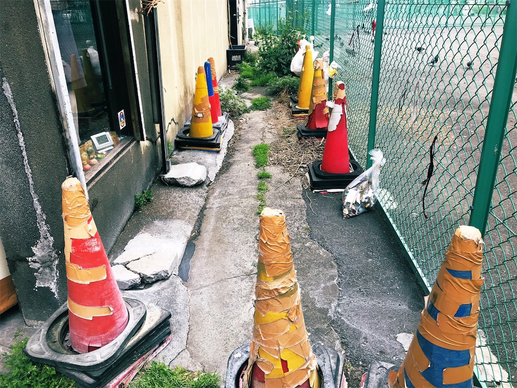 f:id:gachahori:20190430162538j:image f:id:gachahori:20190430162538j:image