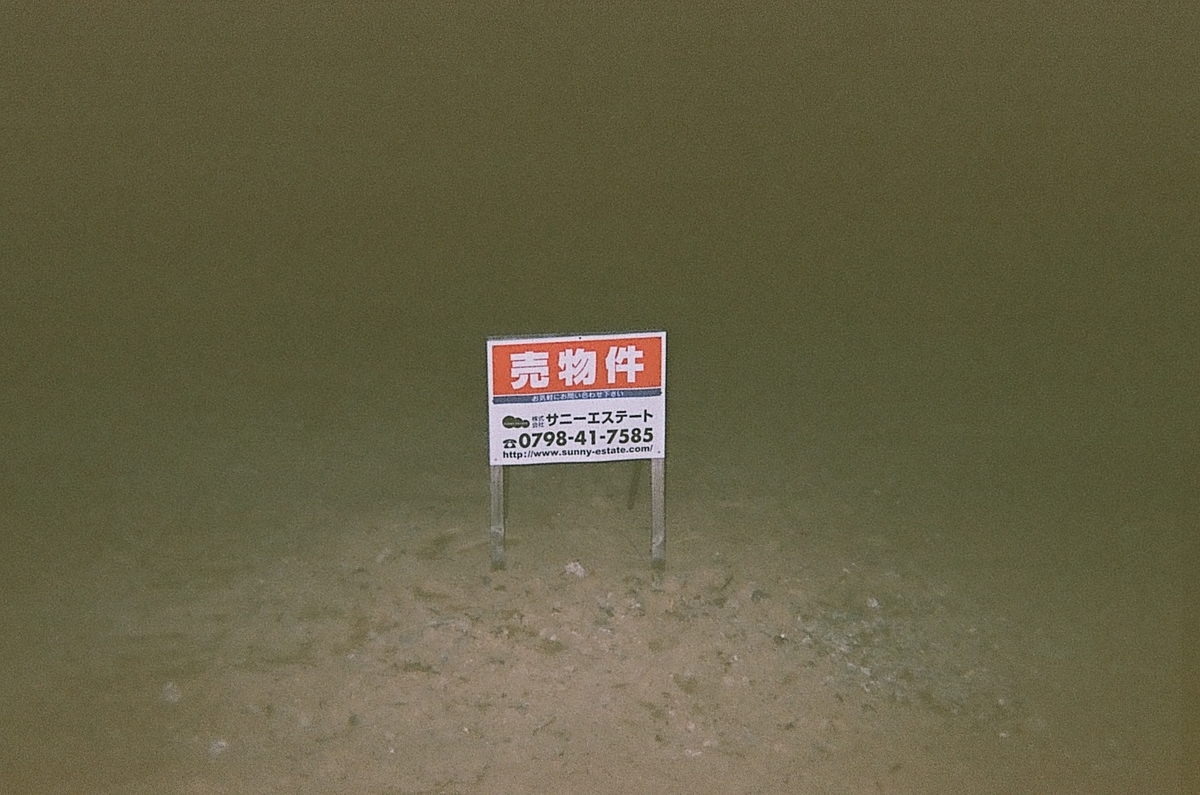 にゃんこのいけにえ