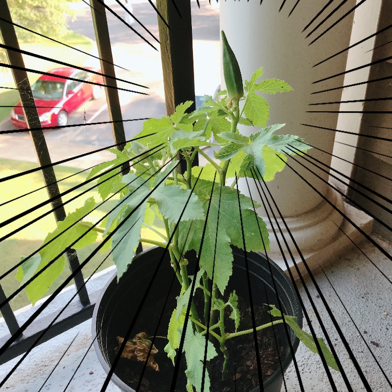 f:id:gacham:20190814122218j:plain