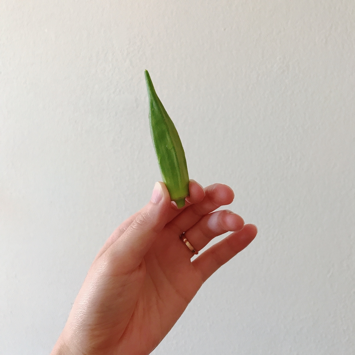 f:id:gacham:20190816004349j:plain f:id:gacham:20190816004349j:plain