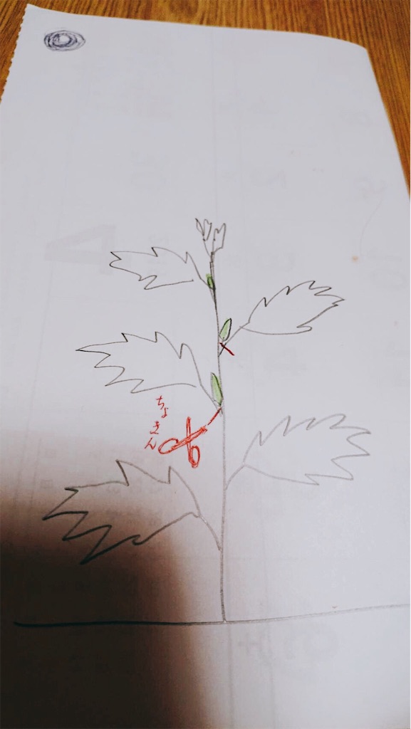 f:id:gacham:20190816120727j:image f:id:gacham:20190816120727j:image