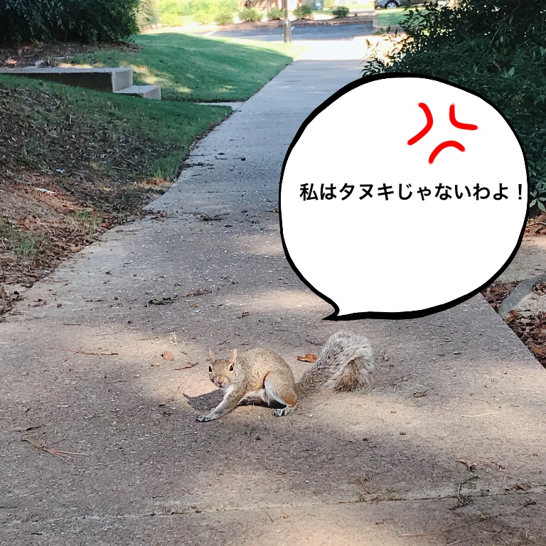 f:id:gacham:20190830045534j:plain f:id:gacham:20190830045534j:plain