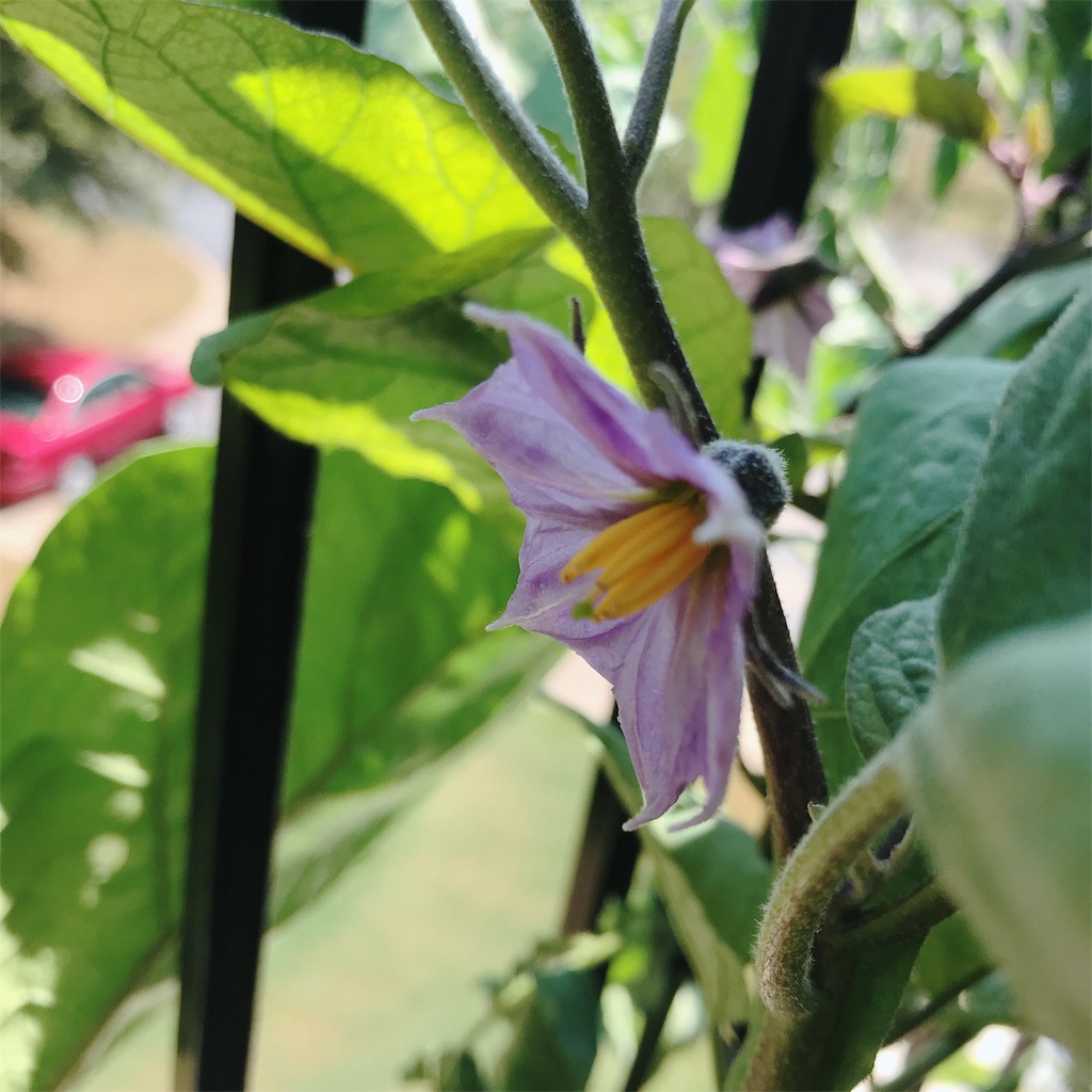 f:id:gacham:20190908232506j:image f:id:gacham:20190908232506j:image
