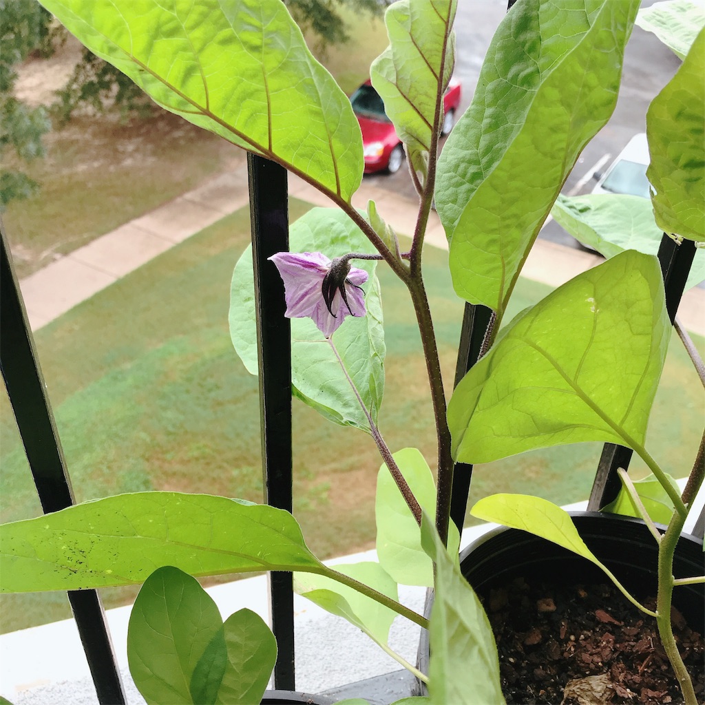 f:id:gacham:20190908232850j:image f:id:gacham:20190908232850j:image