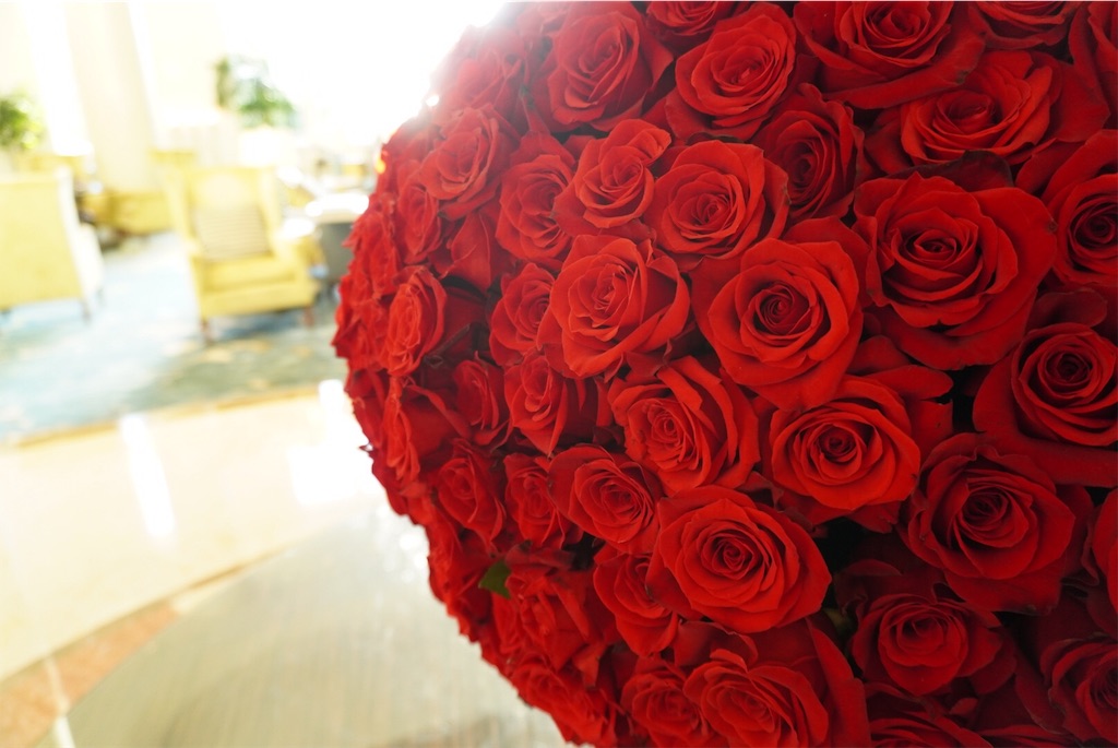 f:id:gacham:20191015110127j:image f:id:gacham:20191015110127j:image