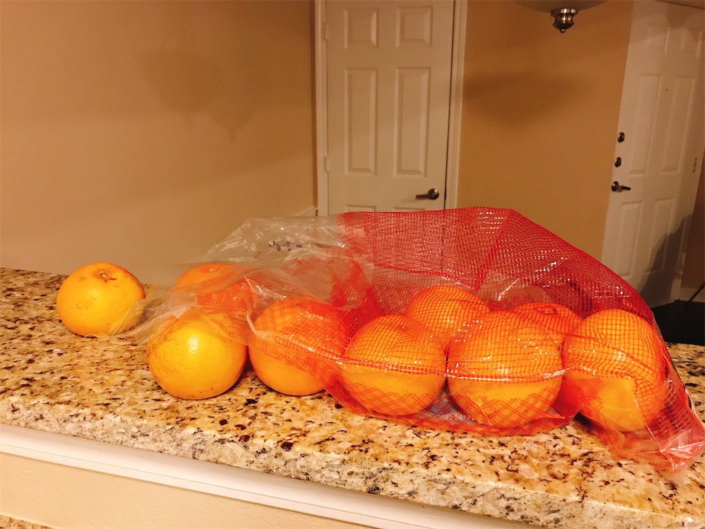 f:id:gacham:20200207121751j:image f:id:gacham:20200207121751j:image