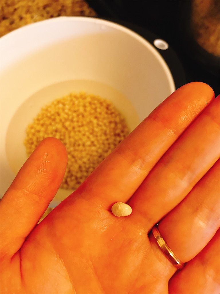 f:id:gacham:20200717030900j:image