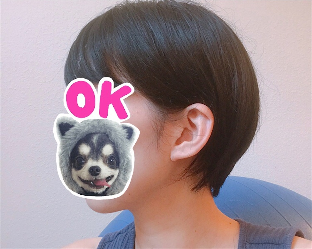 f:id:gacham:20200916054457j:plain f:id:gacham:20200916054457j:plain