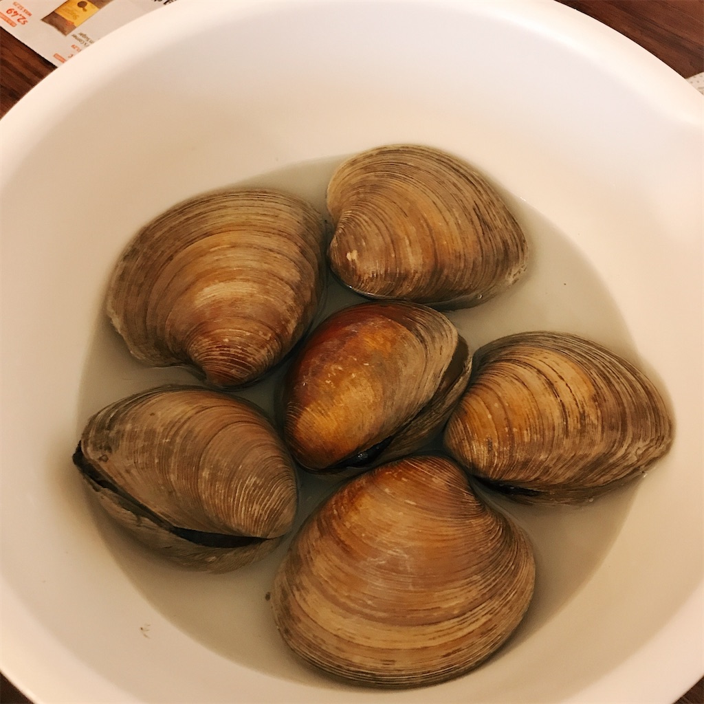 f:id:gacham:20201123115525j:image f:id:gacham:20201123115525j:image