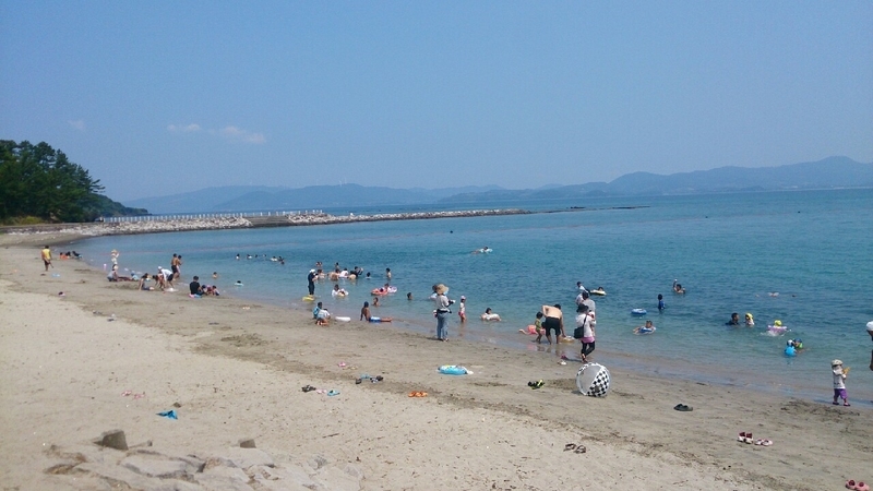 イメージ 5