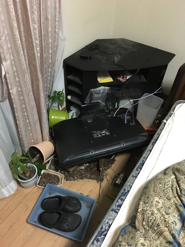 イメージ 4