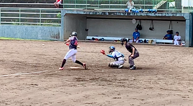 f:id:gachapi--n:20200628202708p:plain