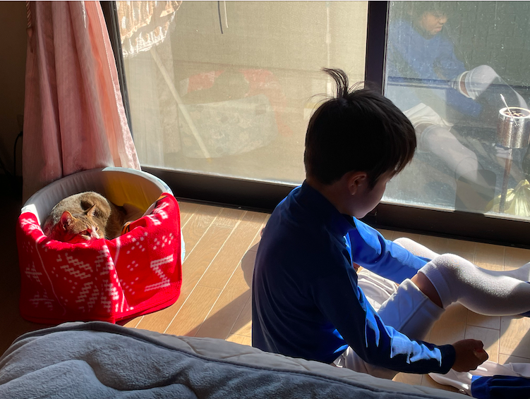 f:id:gachapi--n:20220110082558p:plain