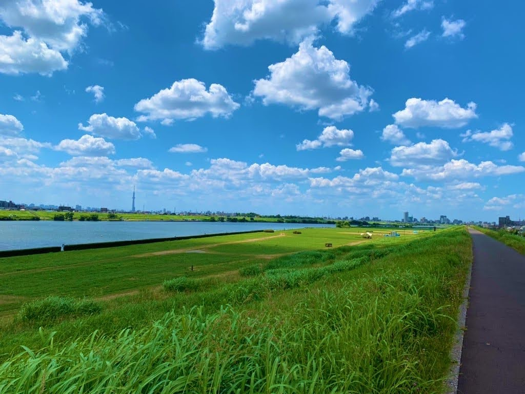 近場の川沿い＠夏