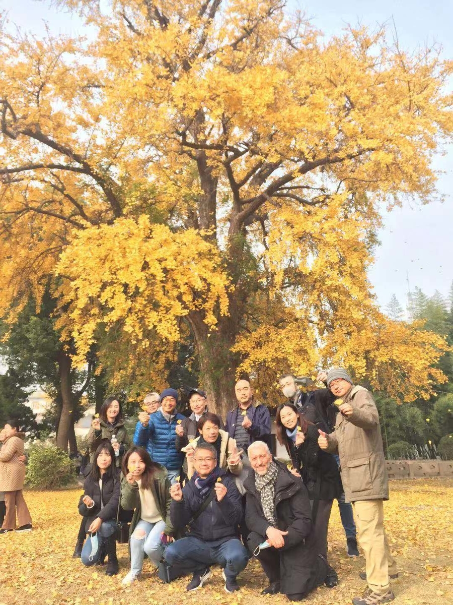 f:id:gacho_shanghai:20201213180943j:plain