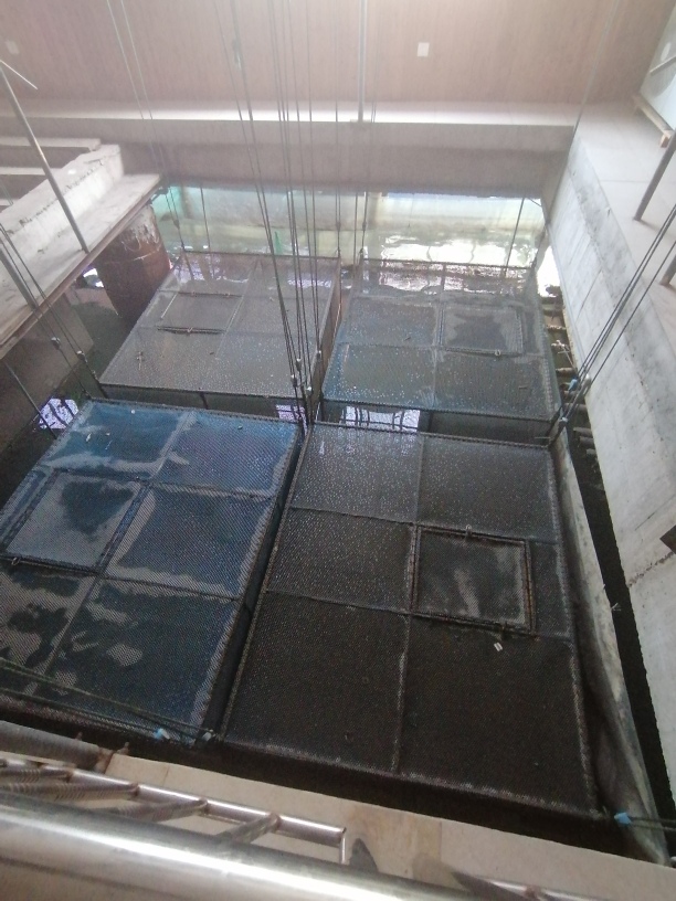 f:id:gacho_shanghai:20201213181843j:plain
