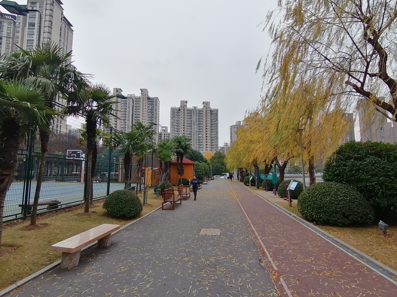 f:id:gacho_shanghai:20201230174201j:plain