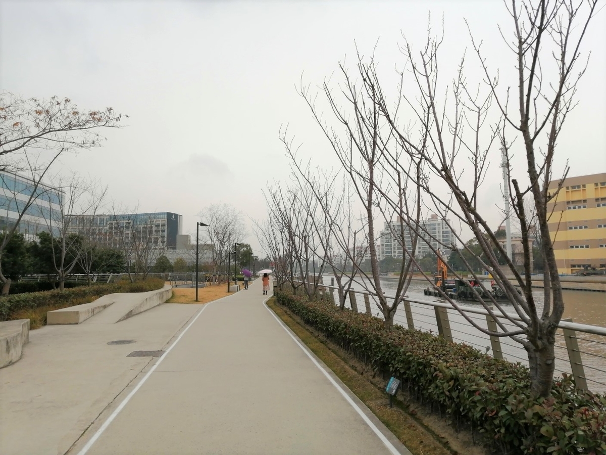f:id:gacho_shanghai:20201230175703j:plain