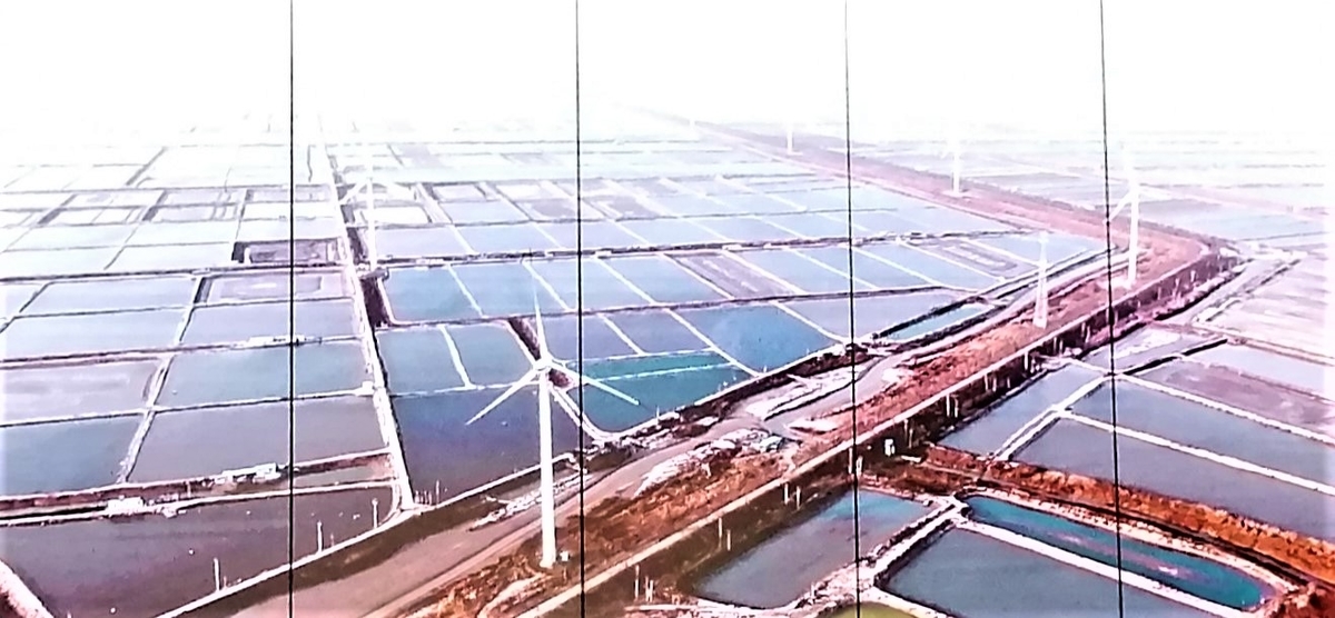 f:id:gacho_shanghai:20210421193724j:plain