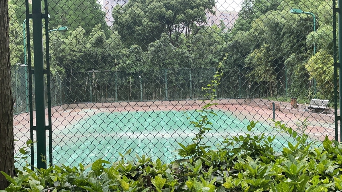 f:id:gacho_shanghai:20210517142325j:plain
