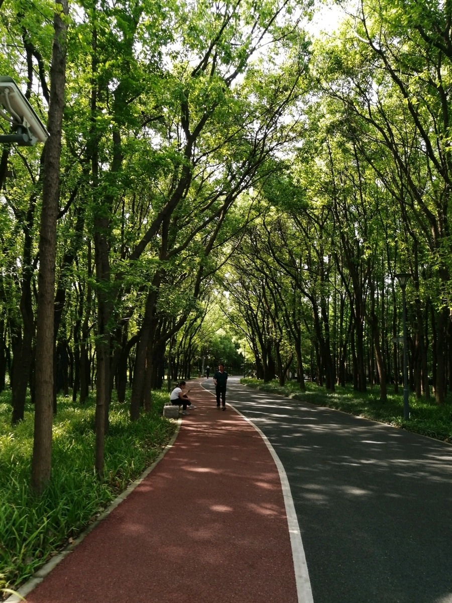 f:id:gacho_shanghai:20210603124610j:plain