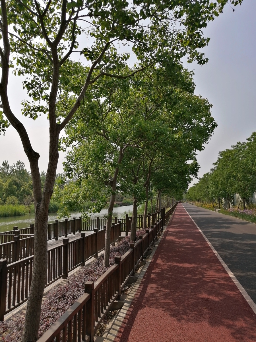 f:id:gacho_shanghai:20210603125301j:plain
