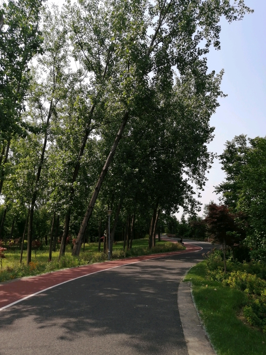 f:id:gacho_shanghai:20210603125542j:plain