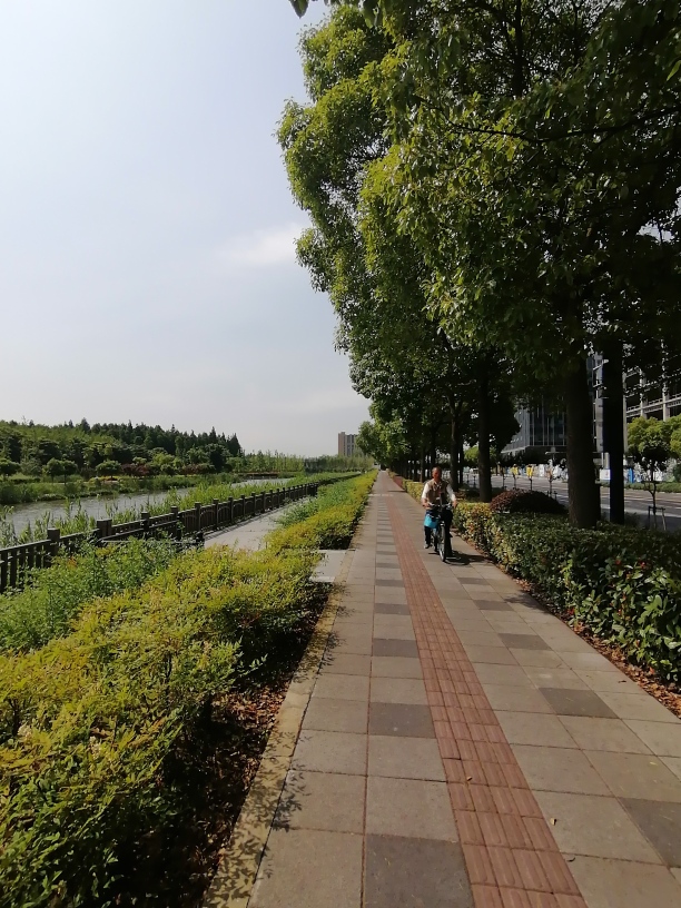 f:id:gacho_shanghai:20210603130758j:plain