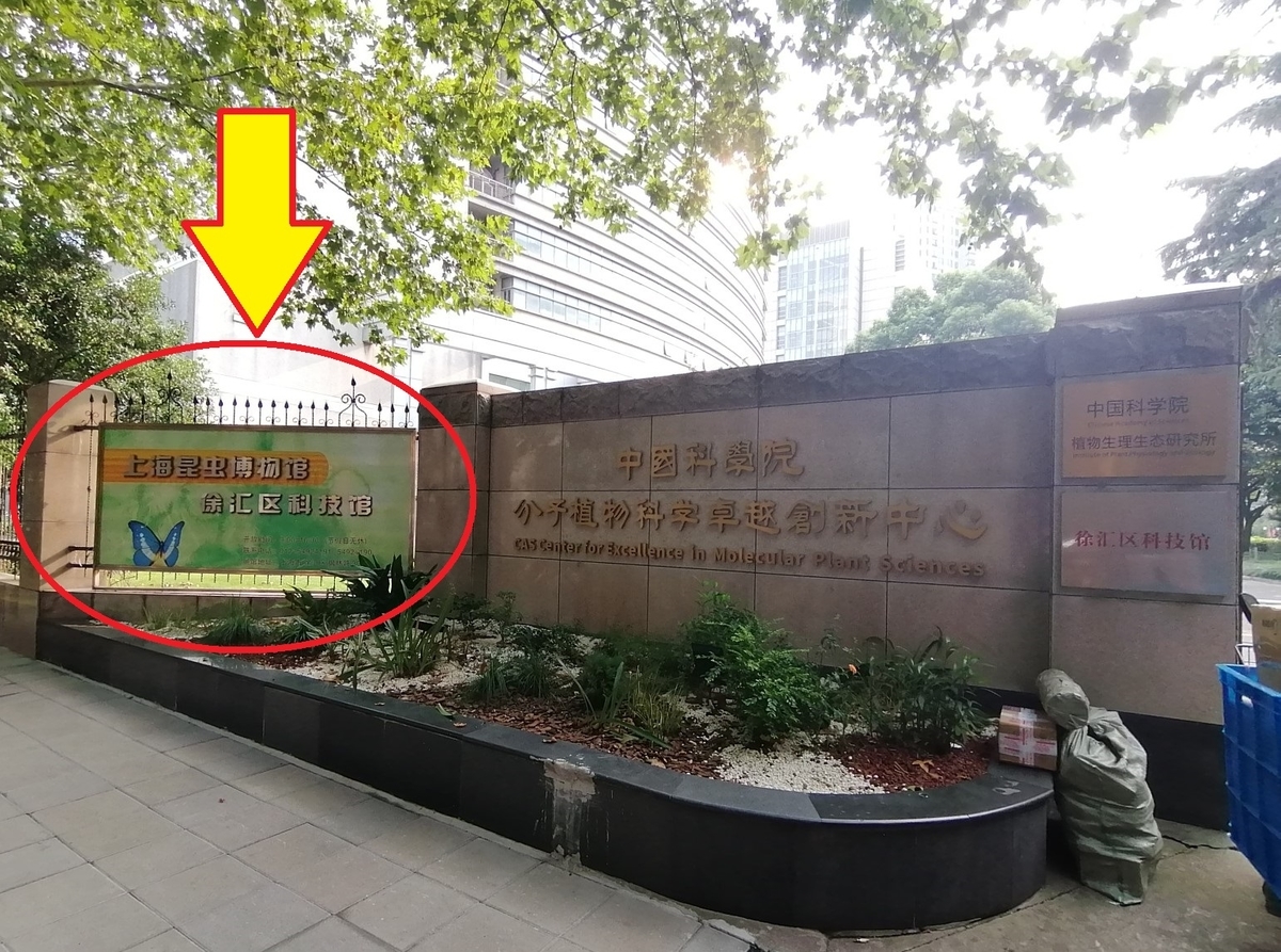 f:id:gacho_shanghai:20211012154101j:plain
