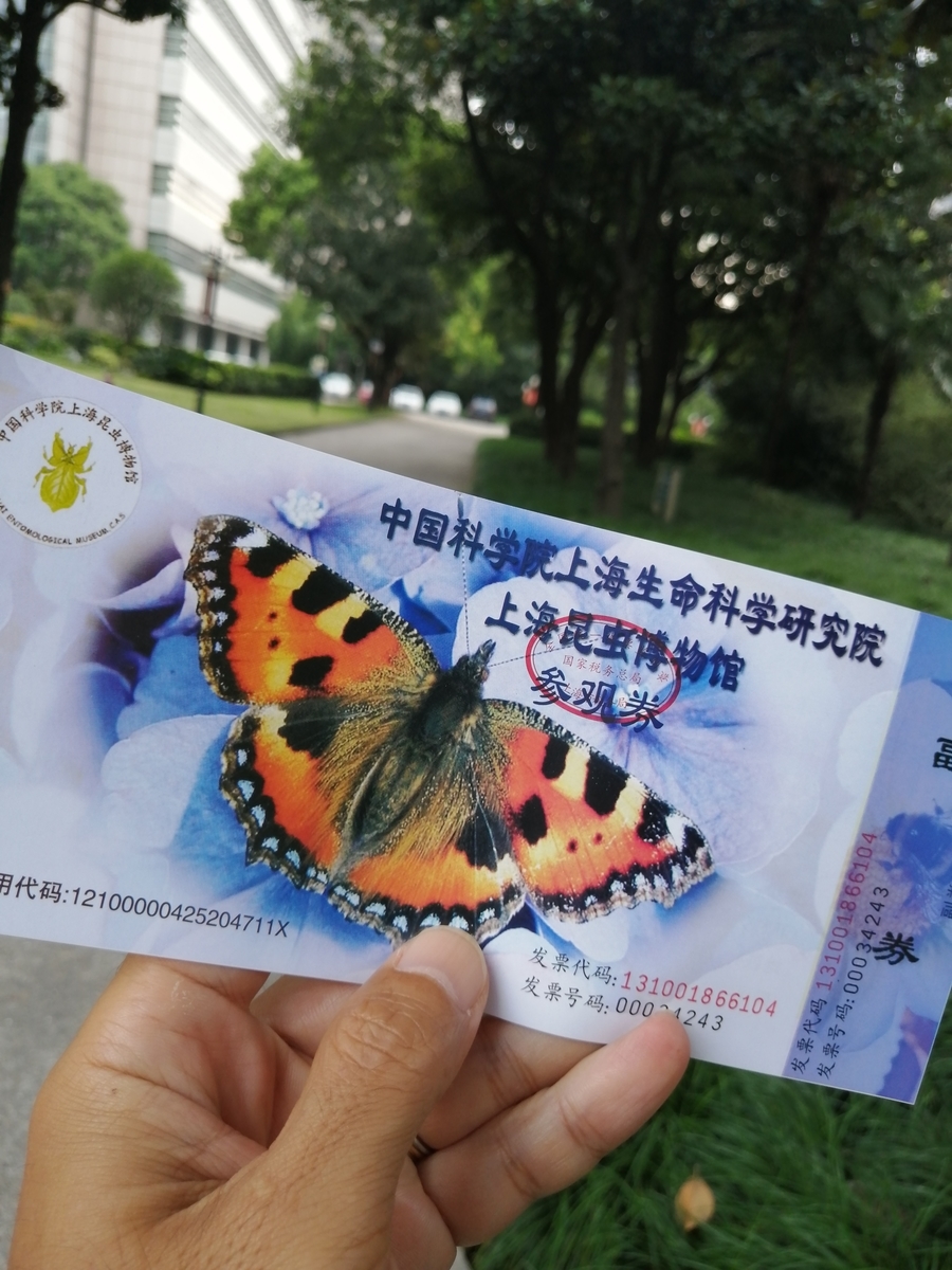 f:id:gacho_shanghai:20211012155217j:plain