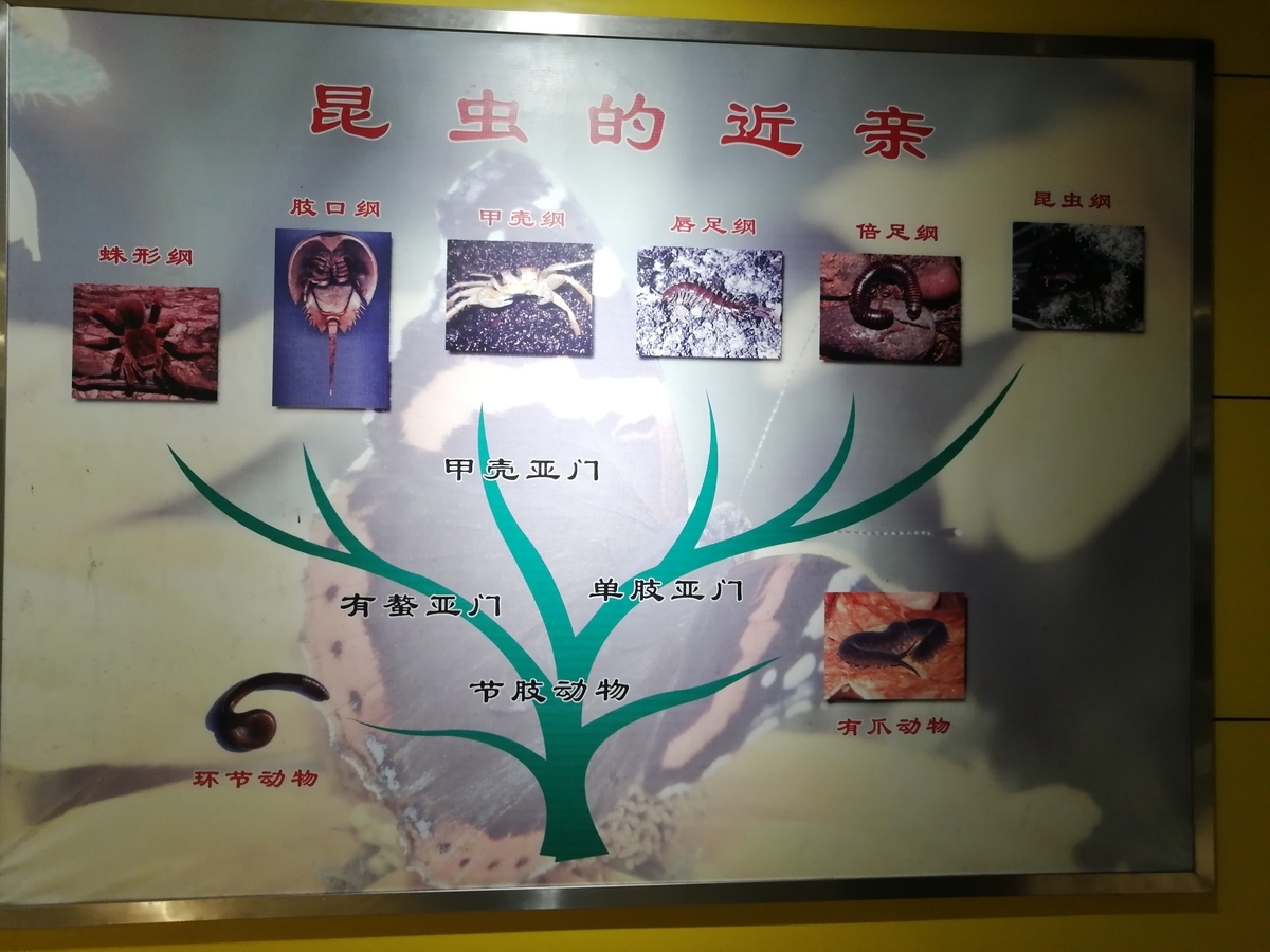 f:id:gacho_shanghai:20211014182908j:plain