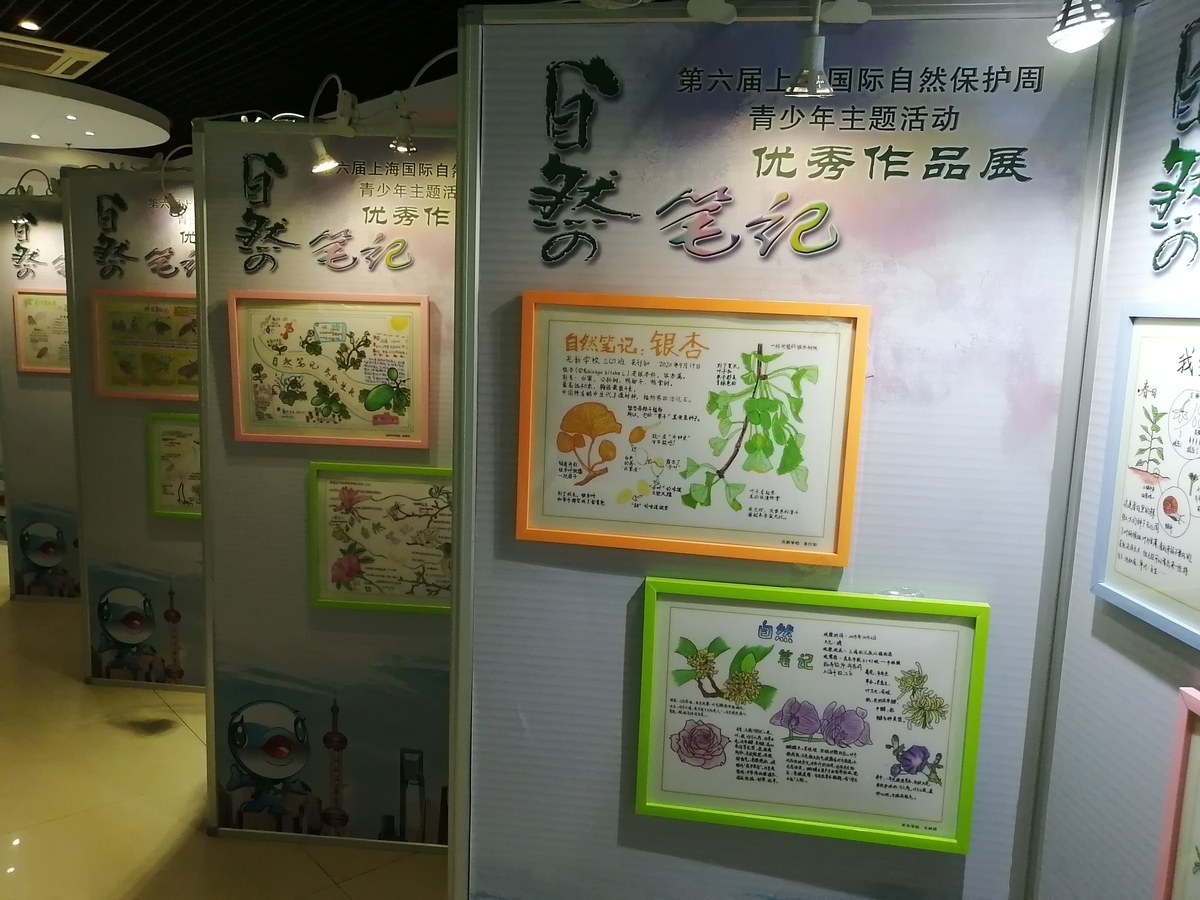f:id:gacho_shanghai:20211014184634j:plain