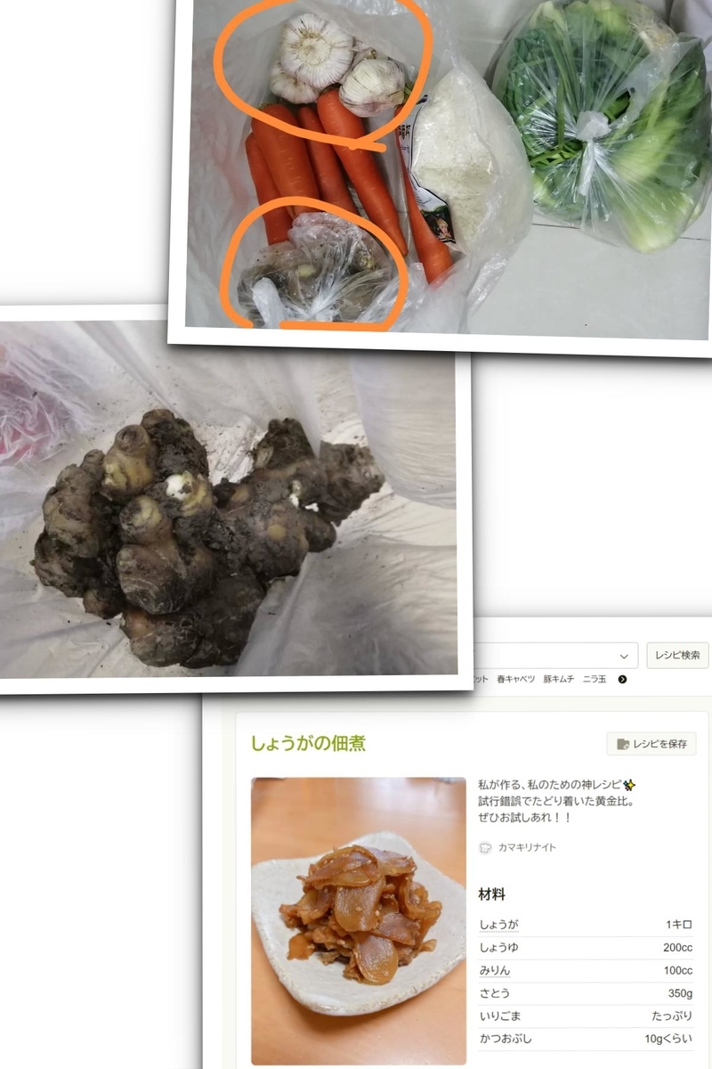 f:id:gacho_shanghai:20220411222258j:plain