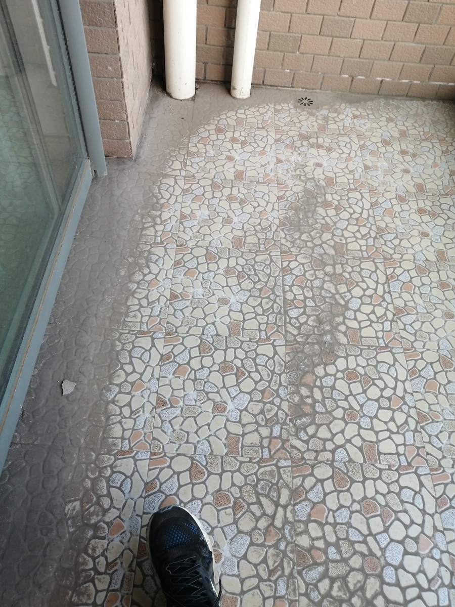 f:id:gacho_shanghai:20220411231627j:plain