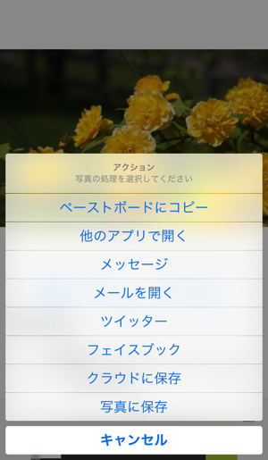 f:id:gadgerepo:20151113195704p:plain