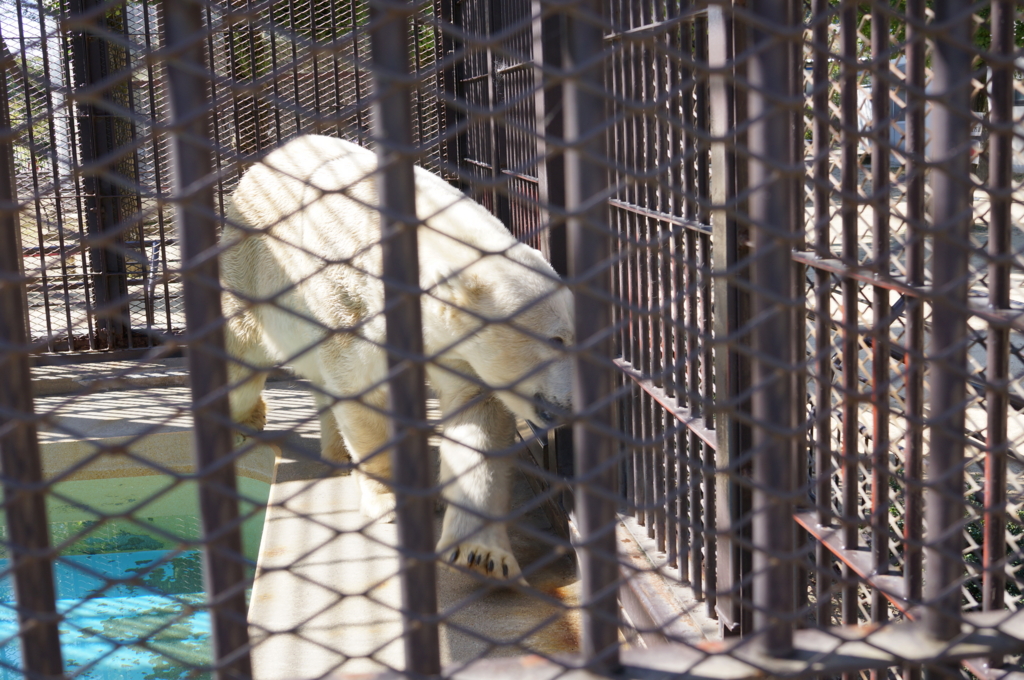 f:id:gadgerepo:20161014003540j:plain:w640