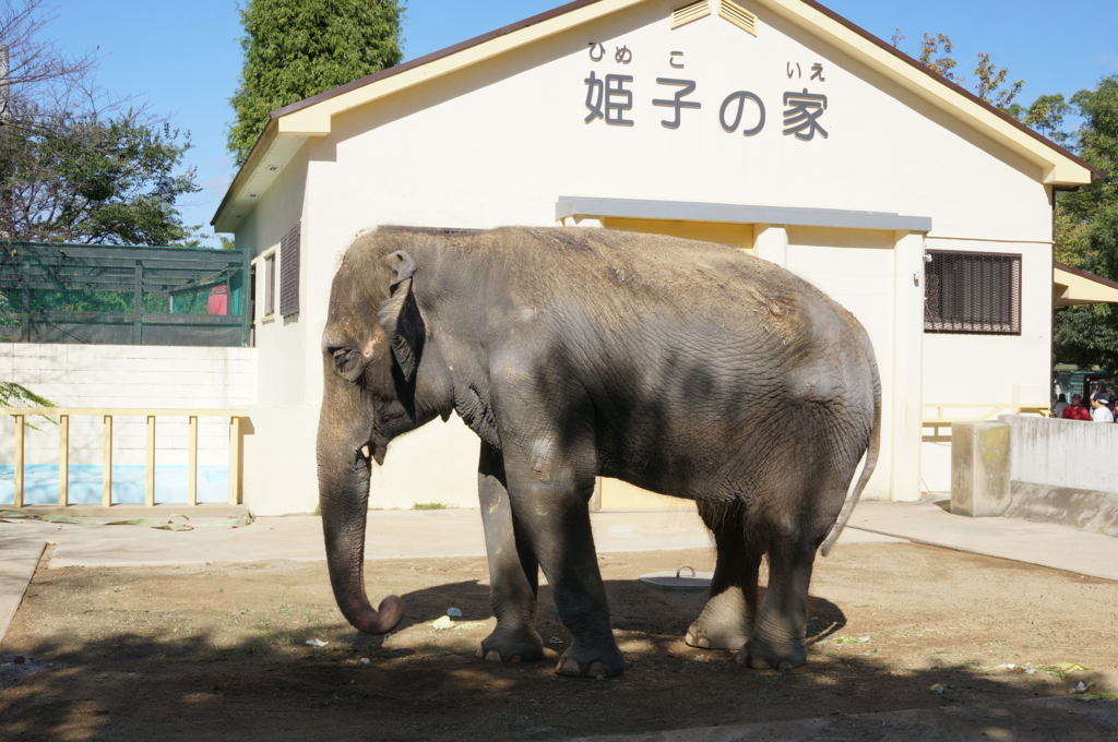 f:id:gadgerepo:20161014003711j:plain:w640