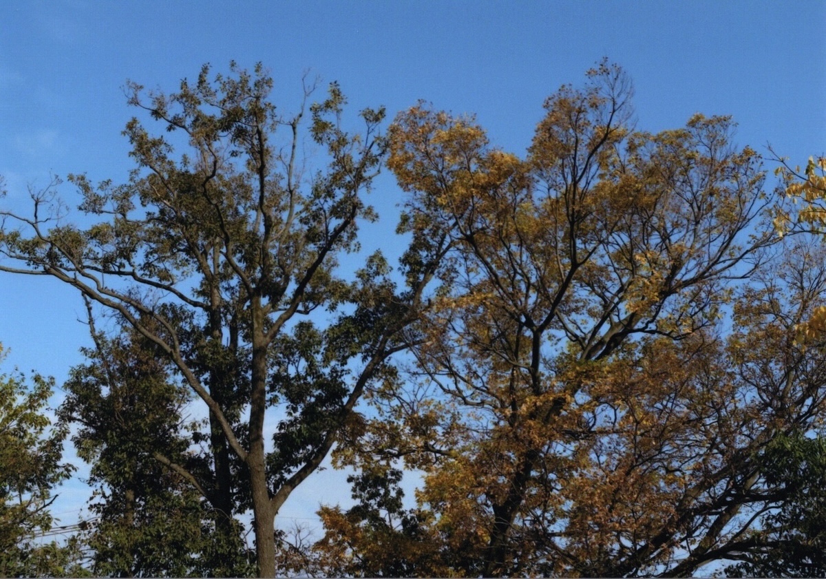 EP-885Aでプリント EP-885Aでプリント