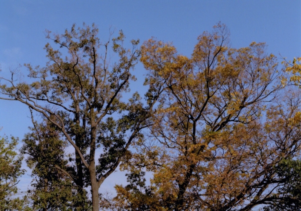 旧機種EP-904Aでプリント 旧機種EP-904Aでプリント