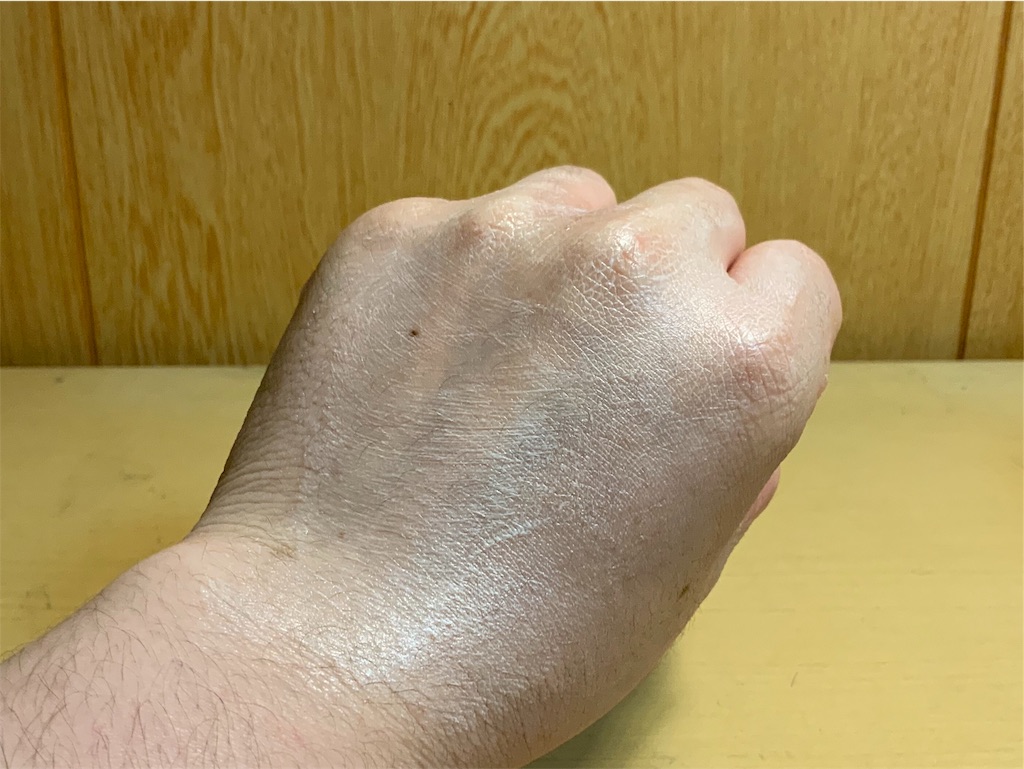 f:id:gadgetplus:20181214163559j:image
